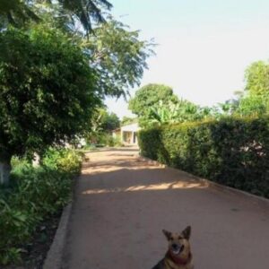 Въезд через сад в Ancha's Oasis, Rua da Igreja, Bairro das Mahotas, Мапуту, Мозамбик