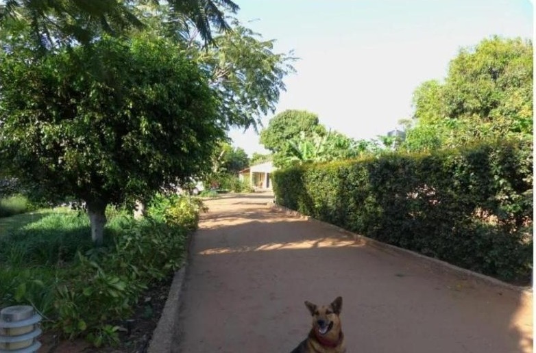Ancha's Oasis: entrada e acesso ao jardim na Rua da Igreja, Bairro das Mahotas, Maputo, Moçambique