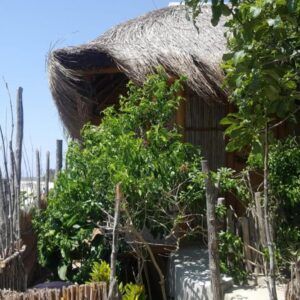 Шале под соломенной крышей на берегу в Baraka Beach, Виланкулу