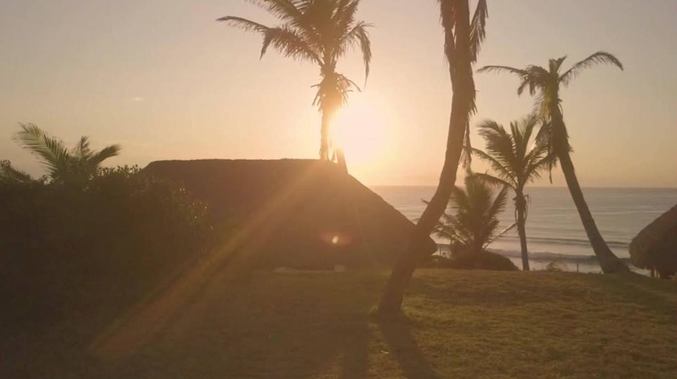 Шале под соломенной крышей и лужайка с пальмами в Mahale Resort, залив Гинжата, на рассвете