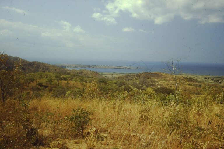 Metangula on the shore of Lake Niassa, seen from above
