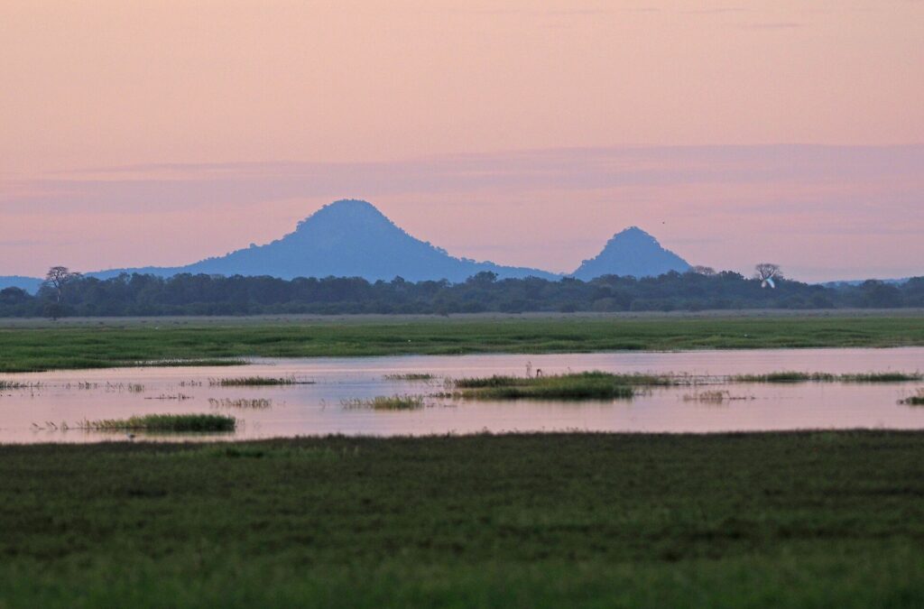Mount Gorongosa above Gorongosa National Park
