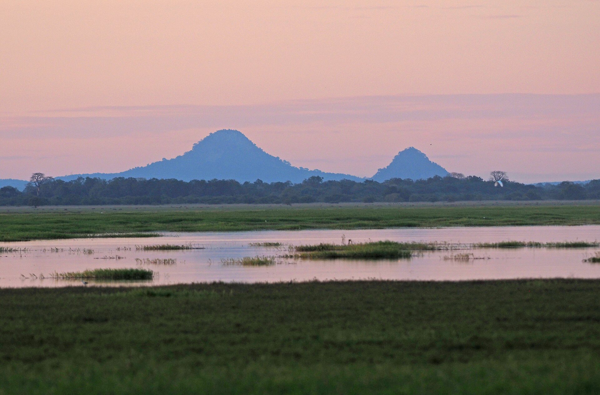 Mount Gorongosa above Gorongosa National Park