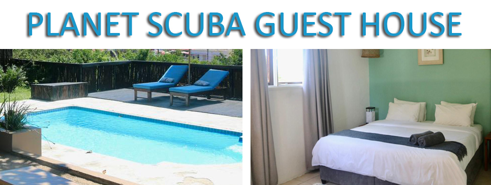 Planet Scuba Guest House, Ponta do Ouro — photograph from the property's official website
