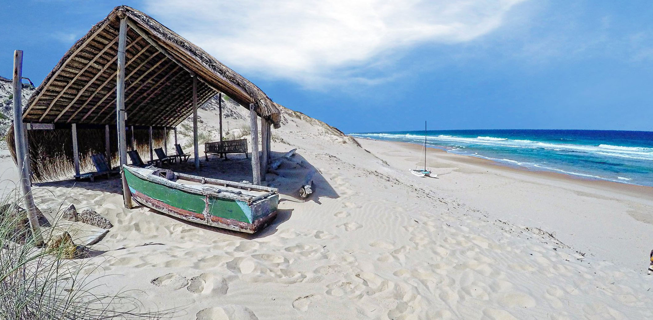 Villa Palmeira, Praia da Barra — photograph supplied by the property